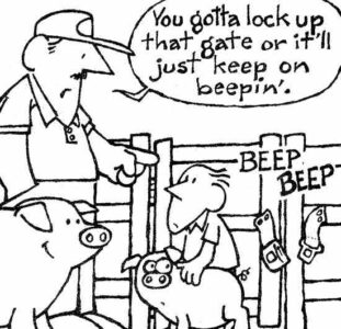 Seat Belt Gate Latch and Other Country Lore Image